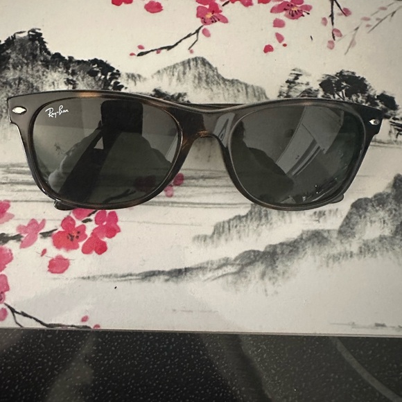 Ray-Ban New Wayfaber - Picture 7 of 9